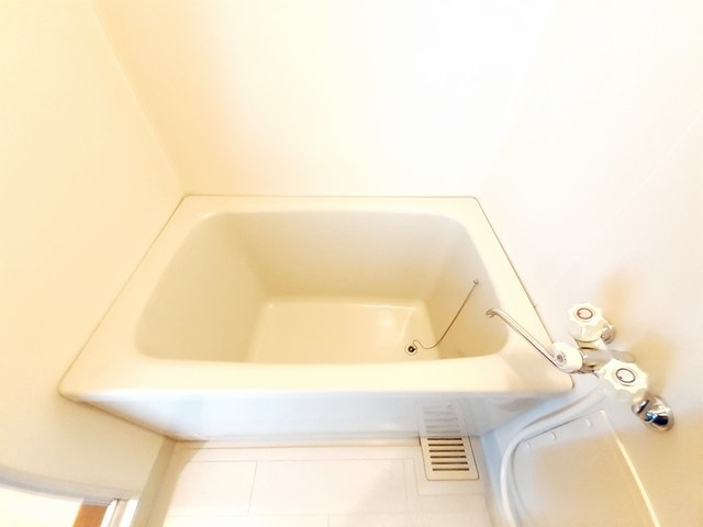 バス