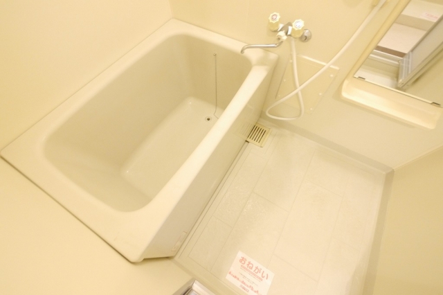 バス